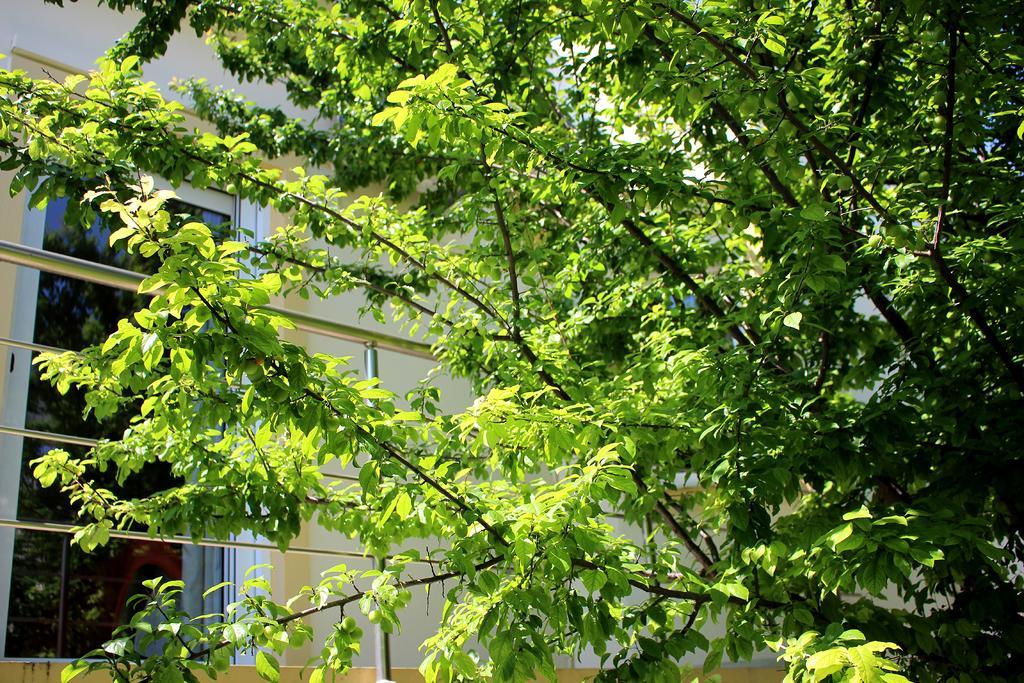 Sofia Filoxenia House Villa Kalyves Eksteriør billede